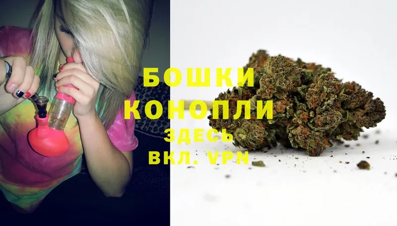 Марихуана SATIVA & INDICA  маркетплейс состав  Агидель  купить  цена 